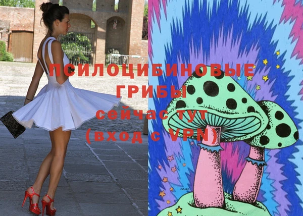 спиды Бугульма