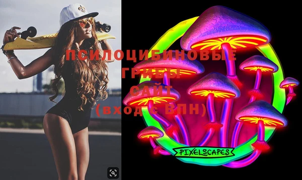 спиды Бугульма