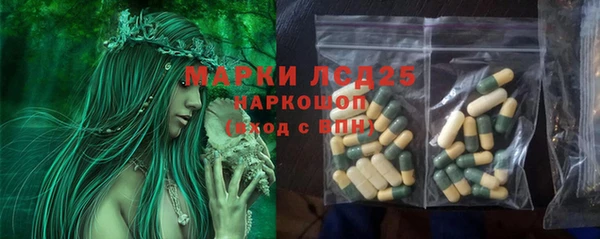 трава Бородино