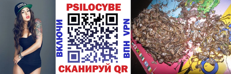 Галлюциногенные грибы Cubensis  Дзержинск 